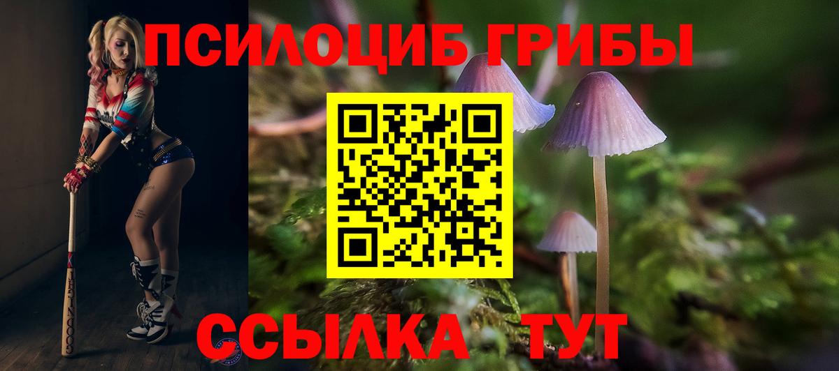 Златоуст  Галлюциногенные грибы прущие грибы  Вход с VPN 